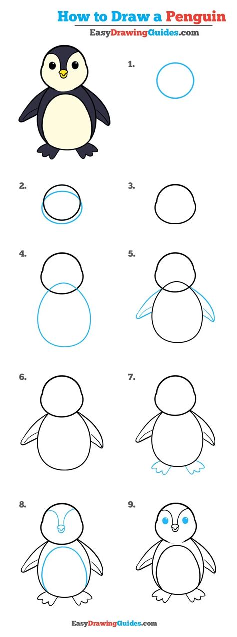 Exercise Penguin Basic Steps