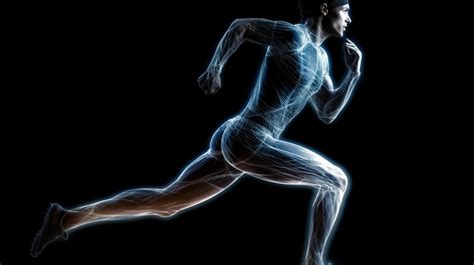 Exercise Science Image