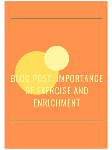Exercise and Enrichment Opportunities