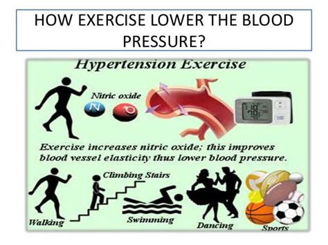 Exercise and Fitness Hypertension Management