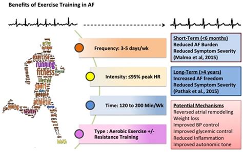 Exercise and Fitness Ventricular Fibrillation