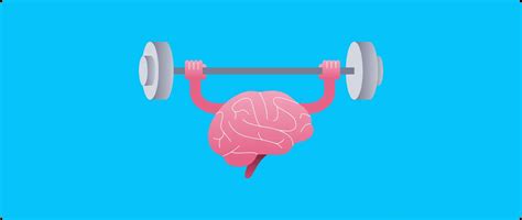 Exercise and Mental Stimulation Needs