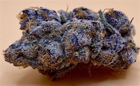 Exotic Weed