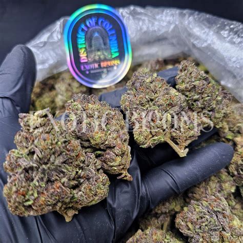 Exotic Weed Companies