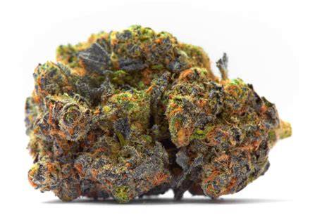 Exotic Weed Strains
