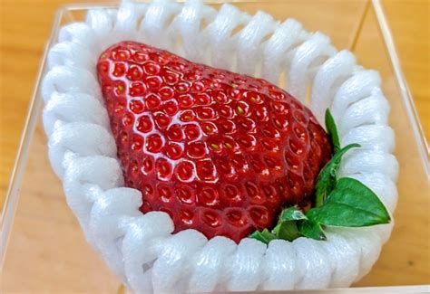 Expensive Fruit Japan