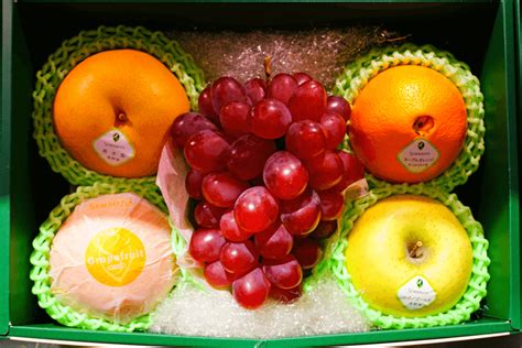 Expensive Japanese Fruit