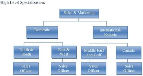 Experience Level and Specialization