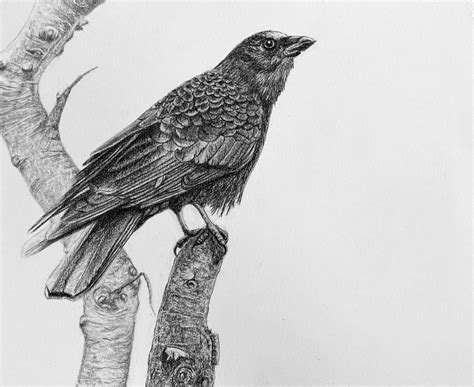 Experienced Artists Needing a Refresh