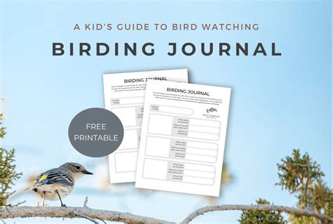 Experienced Bird Watching Guide