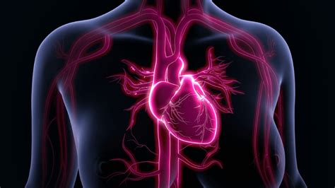 Experiences That Get His Heart Pumping