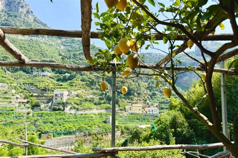 Experiences on Path of Lemons