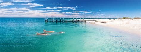 Experiencing Monkey Mia