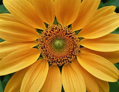 Experiment with Shading and Texture