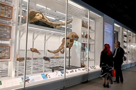 Expert Explanation Natural History Museum