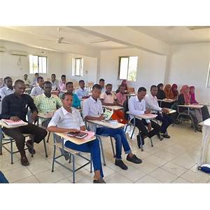 Expert Knowledge of Somalia
