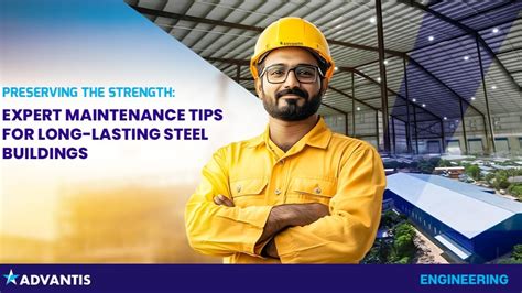 Expert Maintenance Tips for Long-Lasting Vibrancy