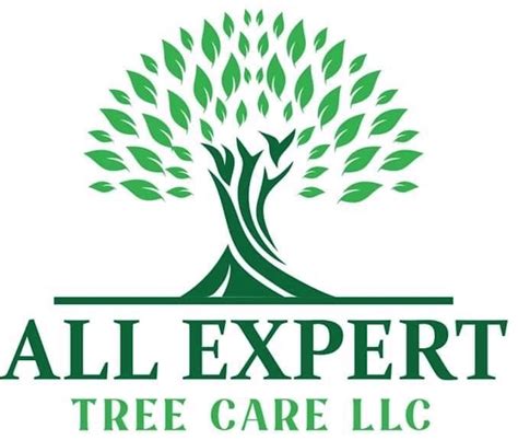 Expert Tree Care