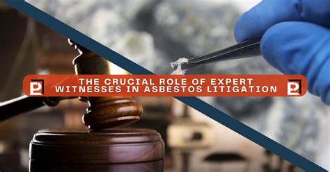 Expertise in Asbestos Litigation