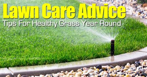 Expertise in Lawn Care Dacula