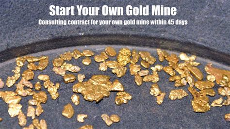 Exploit Your Very Own Gold Mine