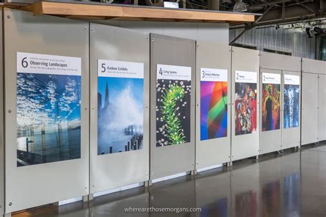 Exploratorium Interactive Exhibits