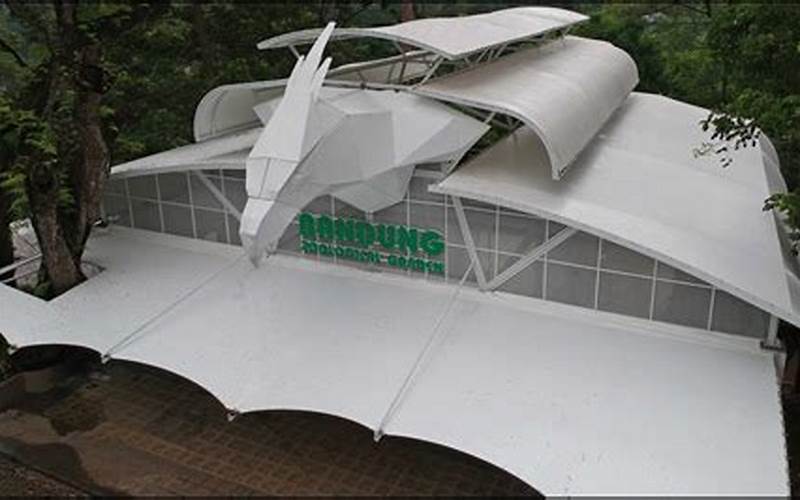 Exploring Canopy Membrane In Bandung, Indonesia