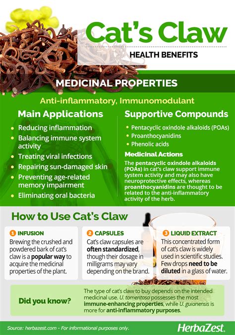 What are the benefits of cats claw