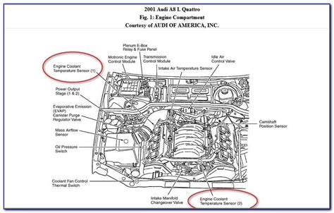Exploring the 2001 VW Beetle Engine Diagram