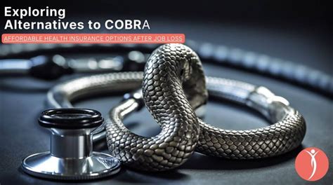 Exploring Alternatives to COBRA Coverage