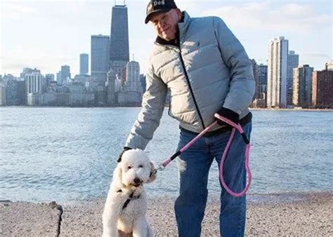 Exploring Chicago with Your Dog