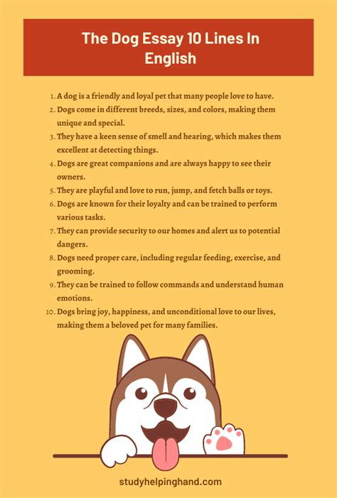 Exploring Different Angles for Your Essay Dog
