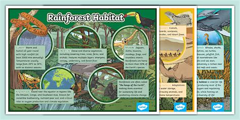 Exploring Different Animal Themes