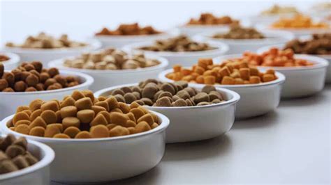 Exploring Different Dog Food Formats
