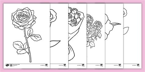 Exploring Different Rose Colouring In Pictures Themes