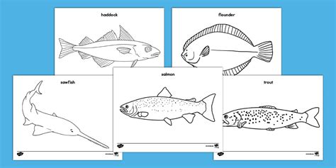 Exploring Different Styles of Fish Coloring Sheets