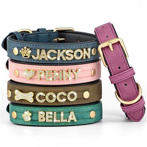 Exploring Different Types of Dog Collar With Custom Name Options