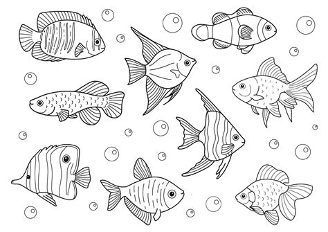 Exploring Different Types of Fish Coloring Pages
