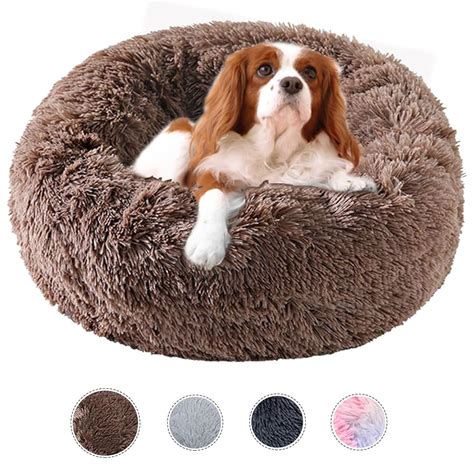 Exploring Different Types of Fuzzy Dog Beds