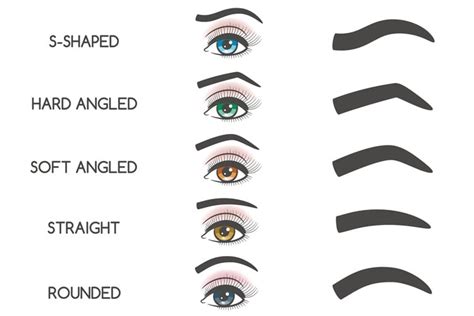Exploring Different Types of Professional Eye Brow Services