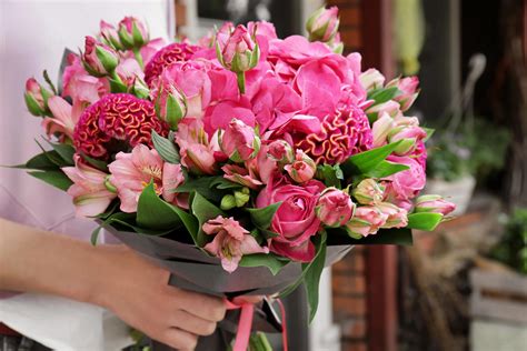 Exploring Exotic & Unique Blooms