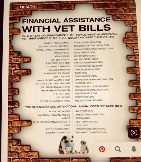 Exploring Financial Assistance for Vet Bills