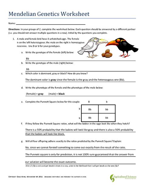 Exploring Genetic Inheritance