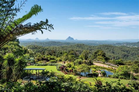 Exploring Maleny Botanic Gardens