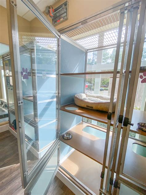 Exploring Modern Cat Boarding Options