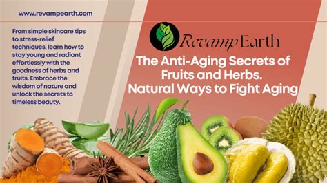 Exploring Natural and Alternative Anti-Aging Methods