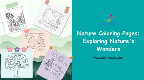 Exploring Popular Categories of Coloring Pages Of The