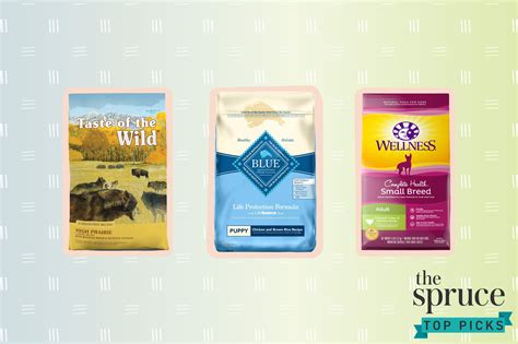 Exploring Popular High Quality Dog Food Brands