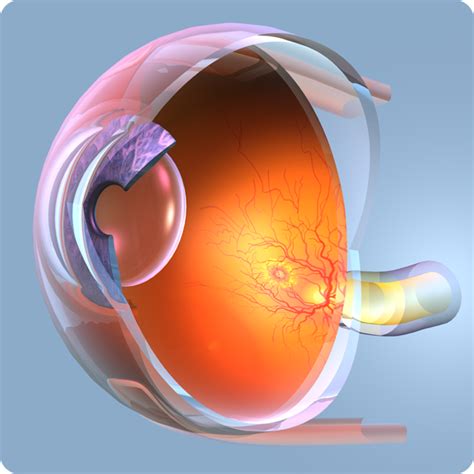 Exploring Popular Procedures at Woolfson Eye