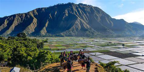 Exploring Sembalun Lombok